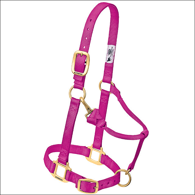 Raspberry Horse Nylon Heat Sealed Buckle Halter Adjustable Small - Uhorse