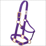 Purple Weaver Western Tack Adjustable Horse Halter 1