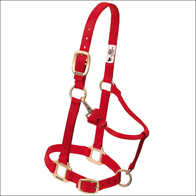 Red Western Tack Adjustable Horse Halter 1" Average - Uhorse