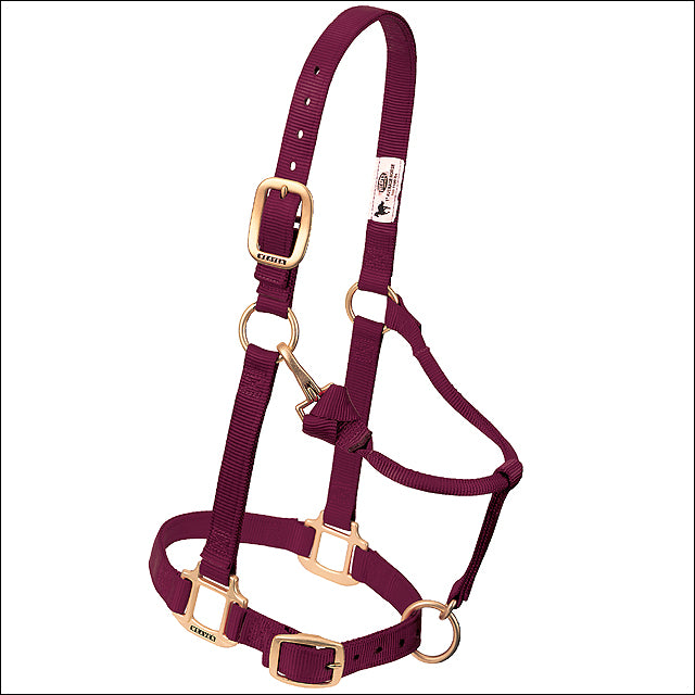Large Horse Halter Nylon Heat Sealed Buckle Chin Throat Burgundy - Uhorse