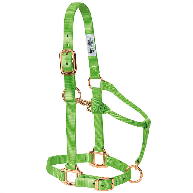 Large Horse Halter Nylon Heat Sealed Buckle Chin Throat Lime - Uhorse