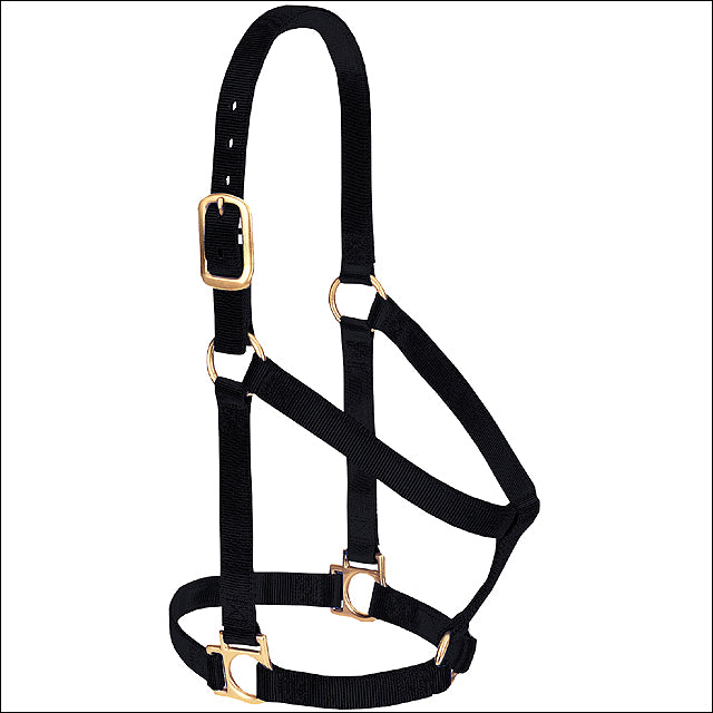 Black Western Tack Basic Horse Halter 1" Small Weanling Draft - Uhorse