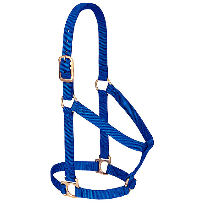 Blue Western Tack Basic Horse Halter 1" Small Weanling Draft - Uhorse