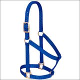 Blue Western Tack Basic Horse Halter 1" Small Weanling Draft - Uhorse