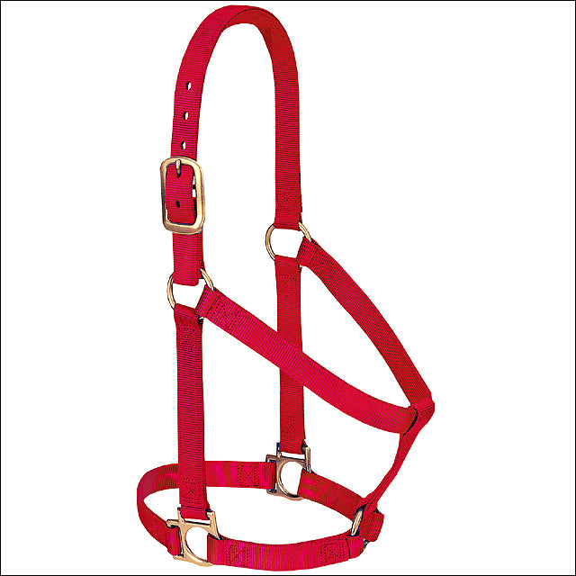 Red Western Tack Basic Horse Halter 1" Small Weanling Draft - Uhorse