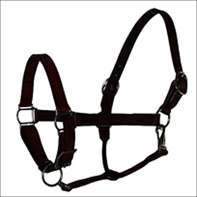 1" Hilason Western Horse Tack Double Stitched Leather Halter W/ Ss Hardware