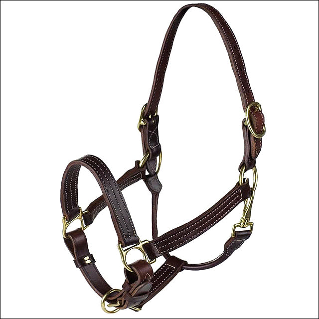 Regular Horze American Quality Horse Leather Halter Dark Brown - Uhorse