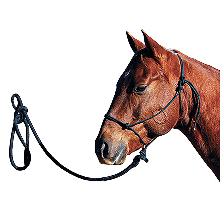 Classic Equine H. Nylon Rope Halter W/ Lead Black by Hilason – Cowboy and equestrian accessories