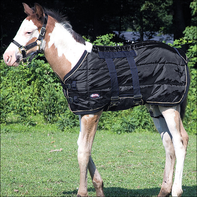 39" Weaver Leather Cold Weather 420D Foal Horse Blanket W/ Belly Strap Black