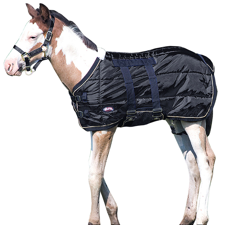 39" Weaver Leather Cold Weather 420D Foal H. Blanket W/ Belly Strap by Hilason – Cowboy and equestrian accessories