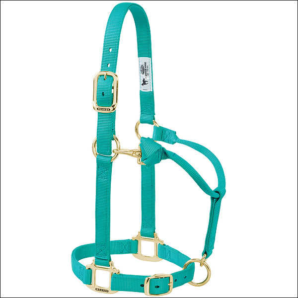 Original Adjustable Chin And Throat Snap Horse Halter Green - Uhorse