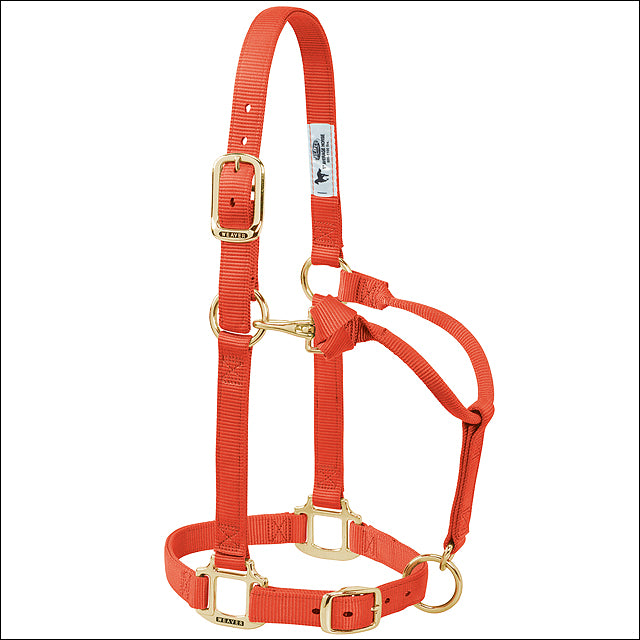 Orange Nylon Pony Horse Halter Original Adjustable Chin and Throat Snap - Uhorse