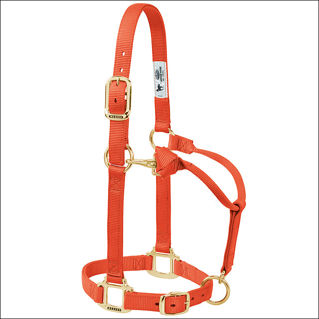 Large Horse Halter Nylon Heat Sealed Buckle Chin Throat Orange - Uhorse