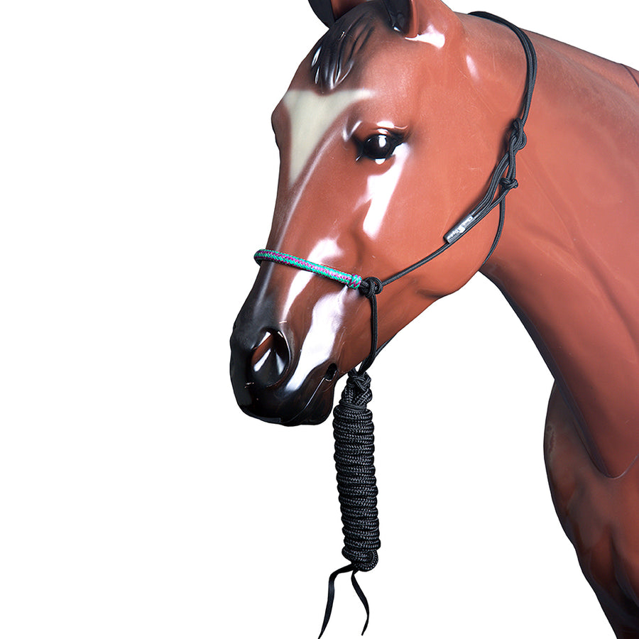 Classic Equine H. Nylon Body Uv Resistent Rawhide Noseband Halter by Hilason – Cowboy and equestrian accessories