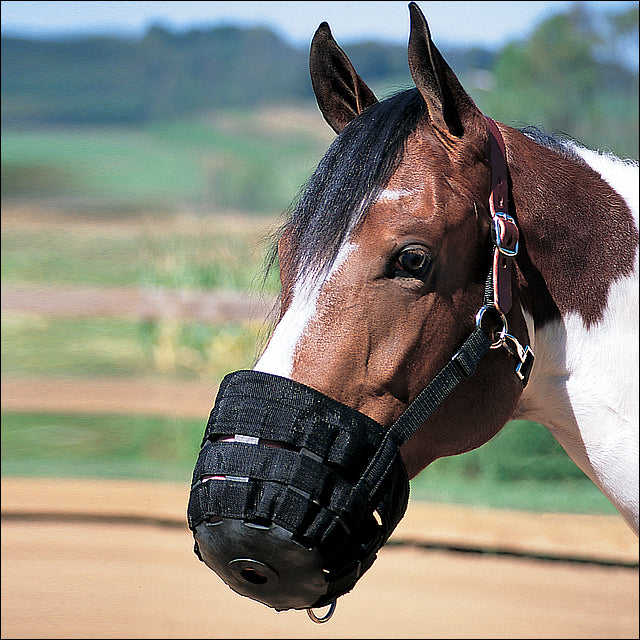 Small Weaver Horse Nylon Rubber Lined Grazing Muzzle W/ Leather Crown Black