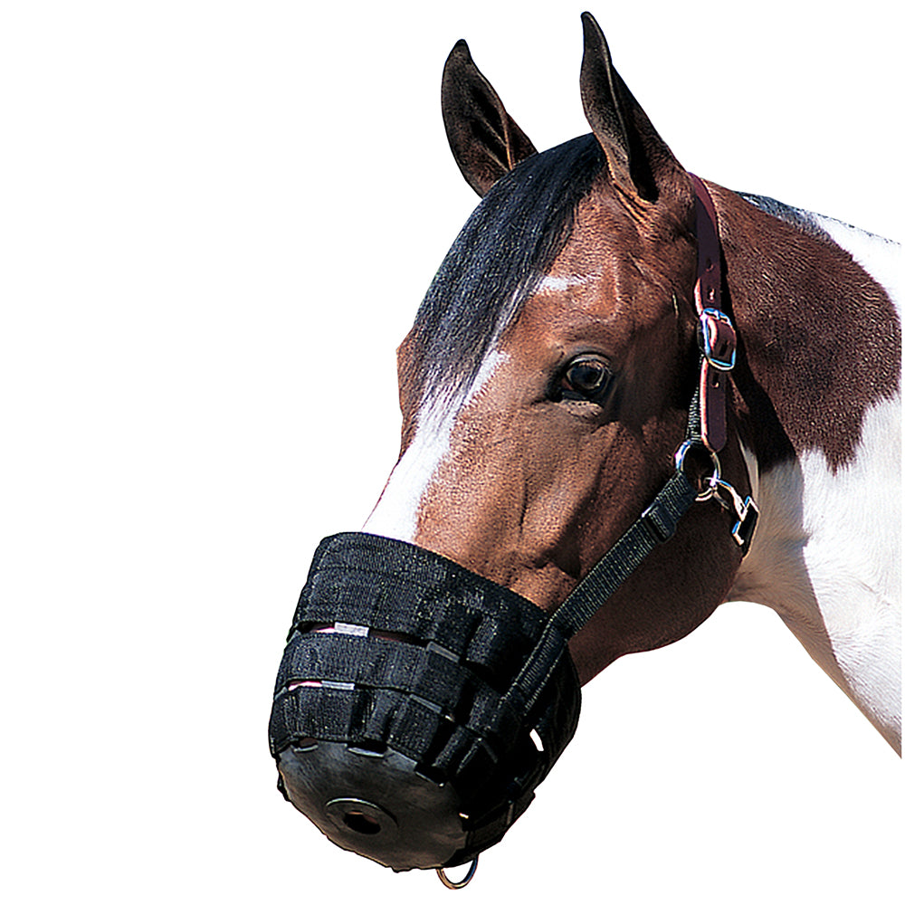 Small Weaver Horse Nylon Rubber Lined Grazing Muzzle W/ Leather Crown Black