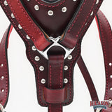 Large Leather Dog Harness Mahogany Genuine With Matching Leash Hilason