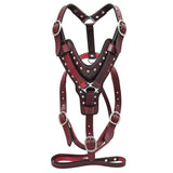 Small Leather Dog Harness Mahogany Genuine With Matching Leash Hilason - Uhorse