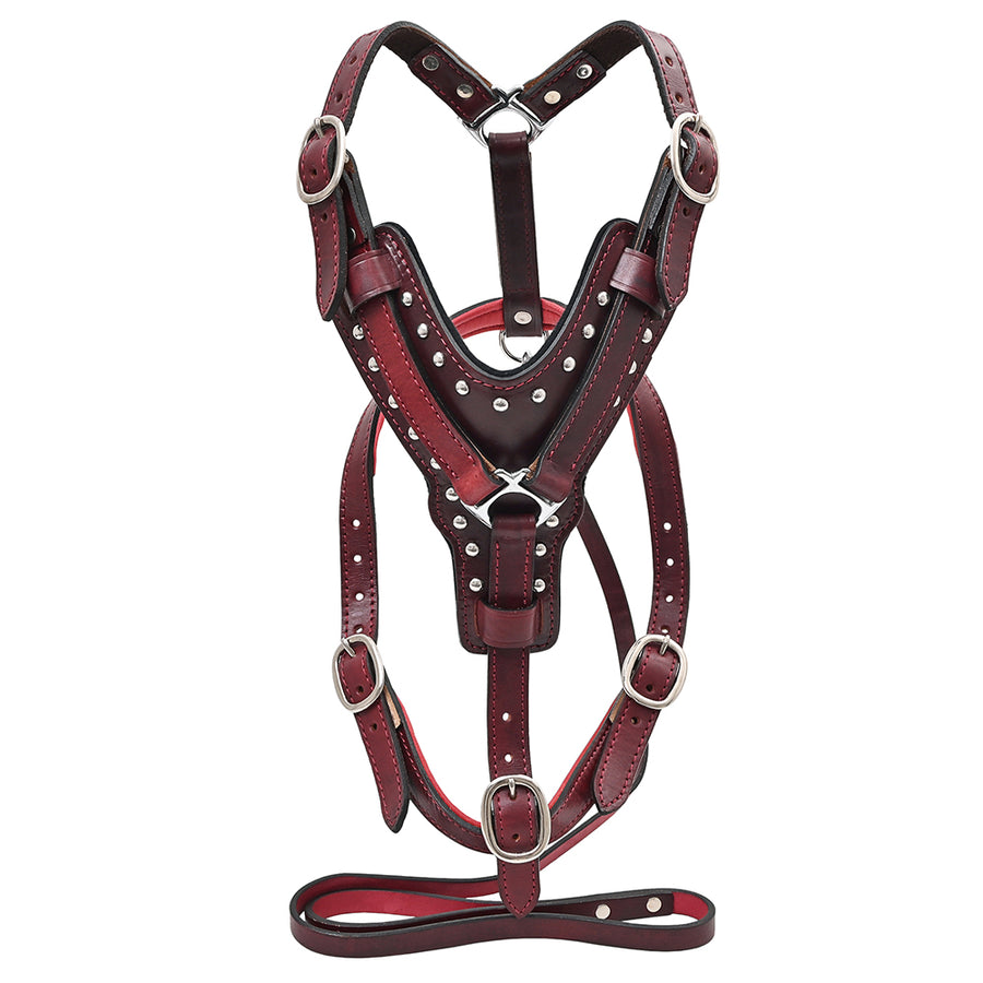 Large Leather Dog Harness Mahogany Genuine With Matching Leash Hilason - Uhorse