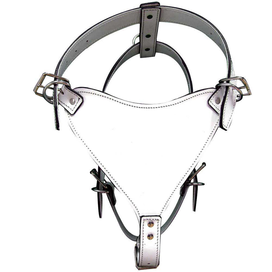 Medium Leather Dog Harness White Genuine With Leash Hilason - Uhorse