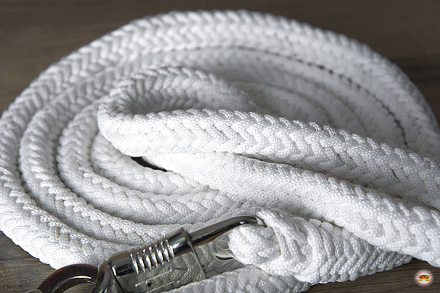 Hilason Horse Riding Poly Lead Rope Blue Tan 1" X 9 Ft.