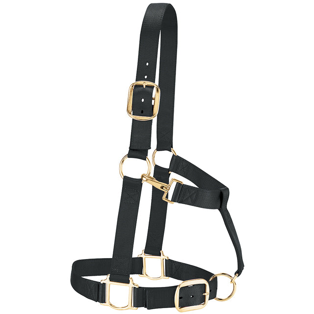 Large 1-1/2" Nylon Draft Horse Halter with Brass Hardware Black - Uhorse