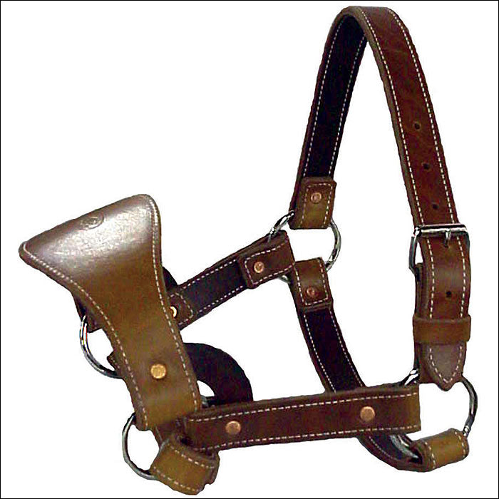 Saddle Barn Double Ply Skirting Latigo Leather Bronc H. Halter – by Hilason – Cowboy and equestrian accessories