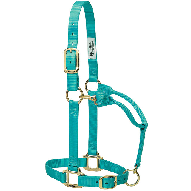 Large Horse Halter Nylon Heat Sealed Buckle Chin Throat Mint - Uhorse