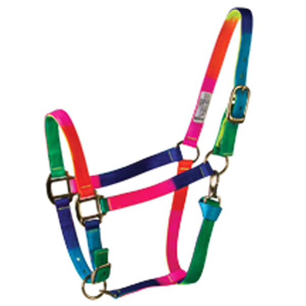 Large Hilason H. Tk. Rainbow 3Ply Adjustable Nylon Halter by Hilason – Cowboy and equestrian accessories