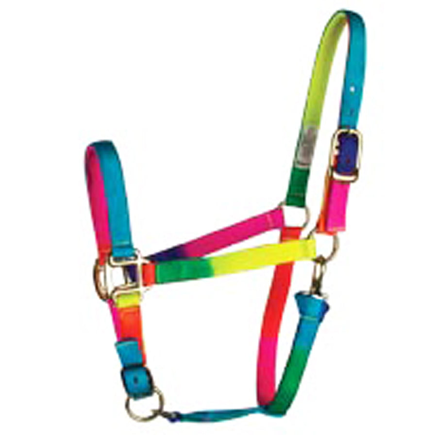 Nylon horse halter with rainbow stripes and metal hardware - Uhorse
