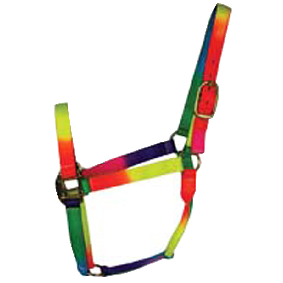 Rainbow nylon horse halter with metal hardware - Uhorse