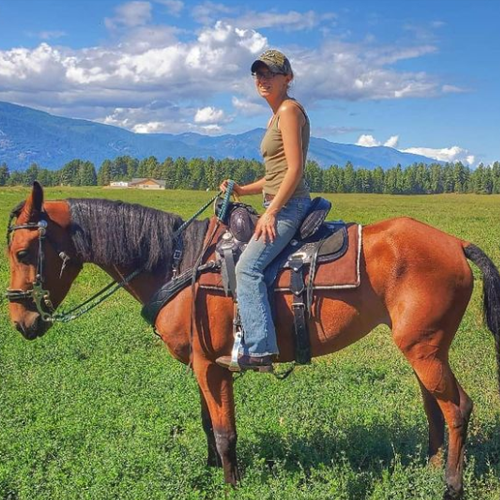 Houston Texas Horse Tack Shop Western and English Rider, saddles & Dog