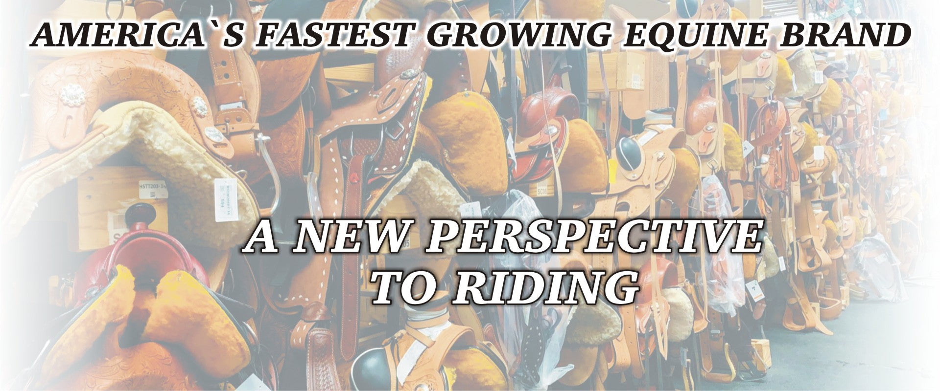 Houston Texas Horse Tack Shop Western and English Rider, saddles & Dog