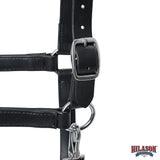 Hilason Western Horse Genuine Leather Halter with Adjustable Fit Durable Hardware Black