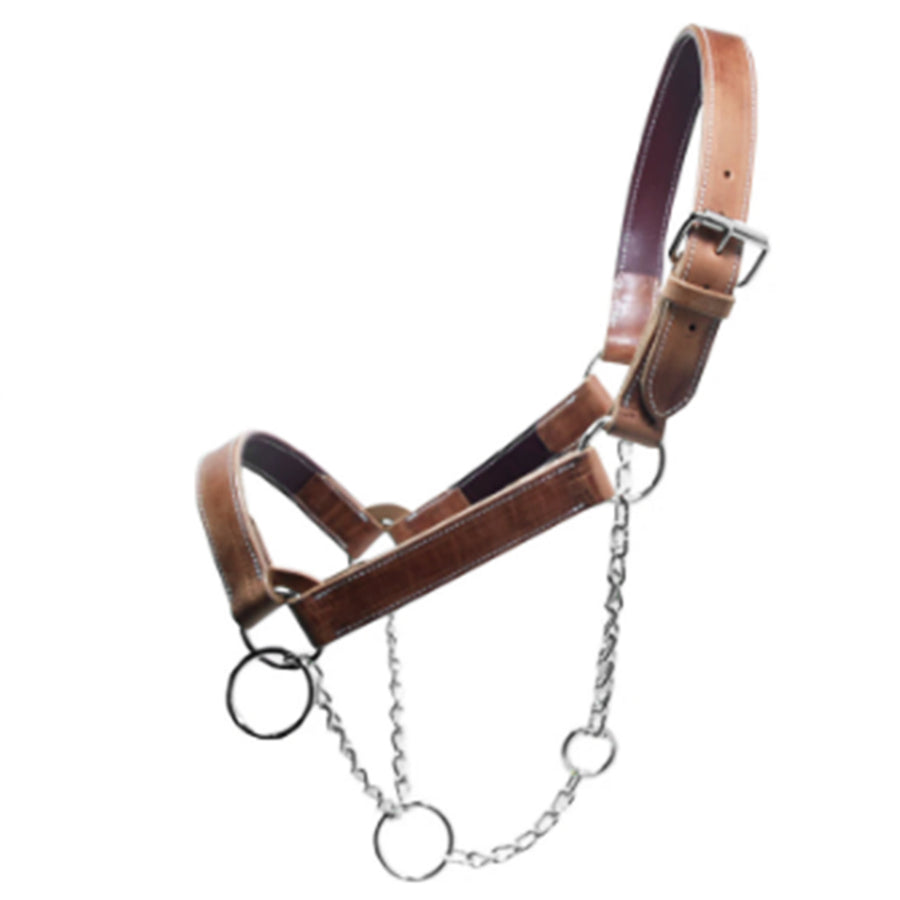 H.O mule Chain Halter - Uhorse