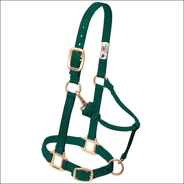 Hunter Green Western Tack Adjustable Horse Halter 1" Average - Uhorse