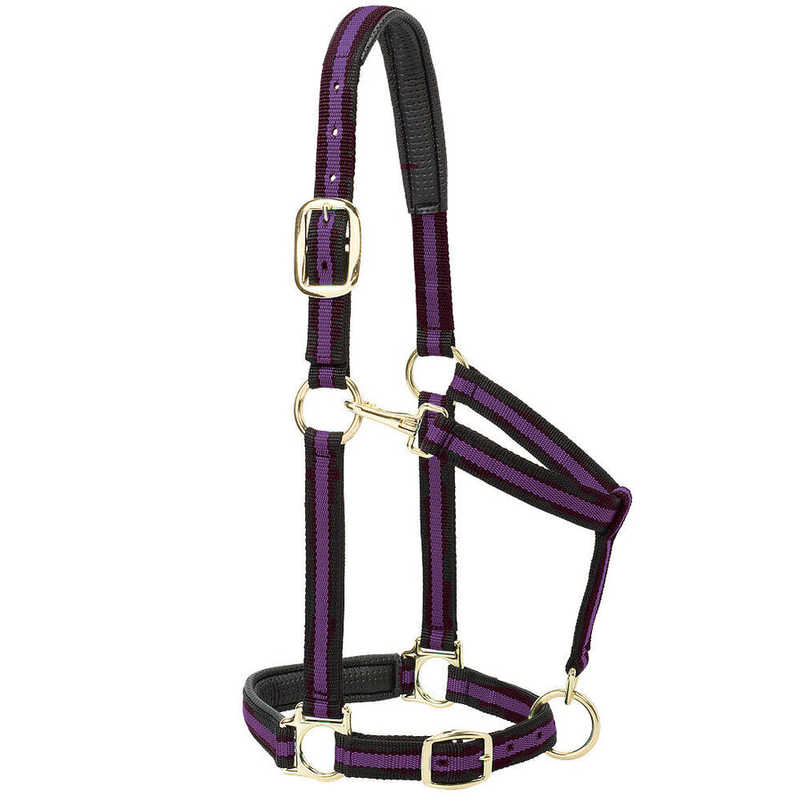 Purple Padded Adjustable Chin And Throat Snap Halter Average Horse - Uhorse