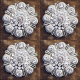 Western Screw Back Concho Clear Berry Saddle Headstall Tack Bling Cowgirl