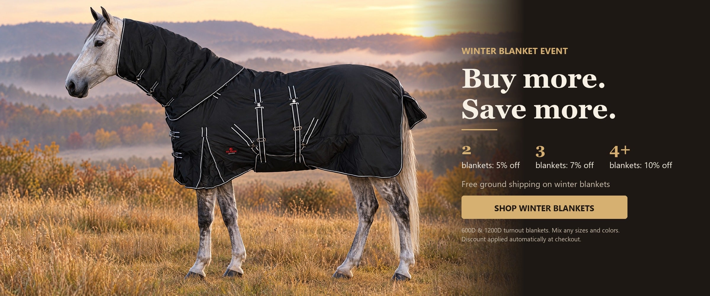 Winter blanket event: buy 2 save 5%, buy 3 save 7%, buy 4 or more save 10%. Free ground shipping on winter blankets.